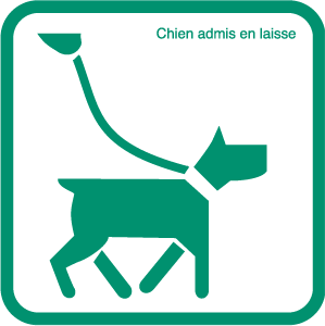 Chien admis en laisse